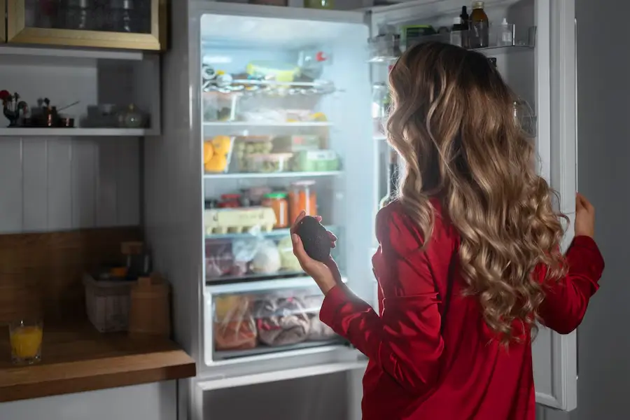 Domestic Fridge Repair