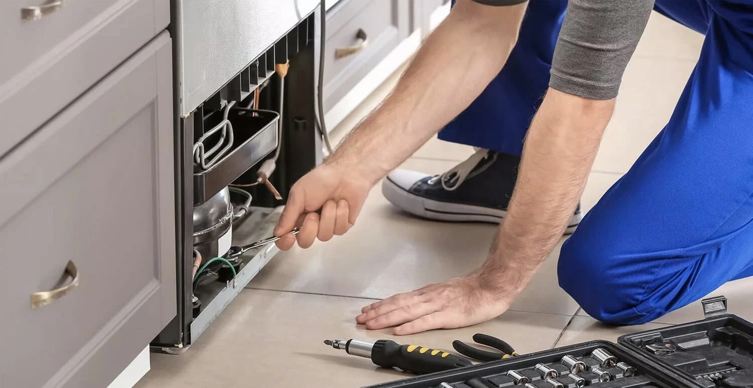 Fridge repair mechanics